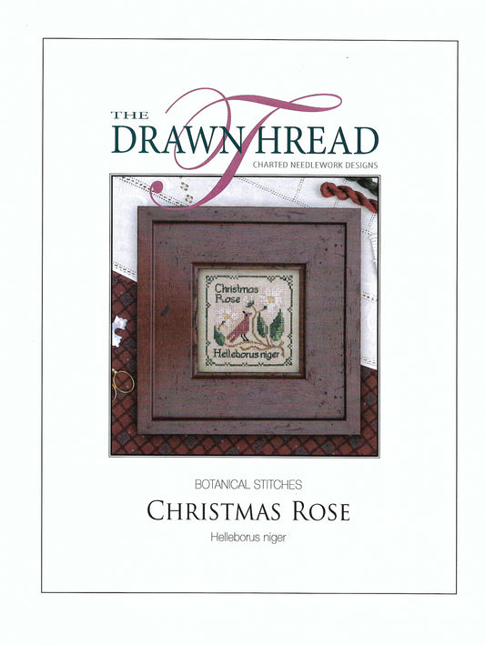 Drawn Thread, The - Christmas Rose